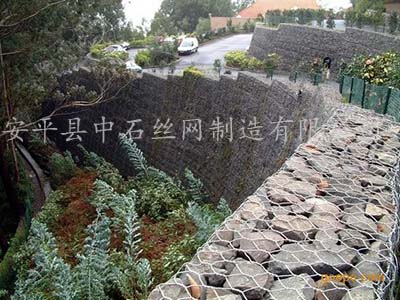 zsshilong01.jpg zsshilong01.jpg