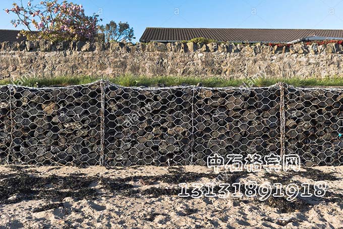 13131891918 13131891918