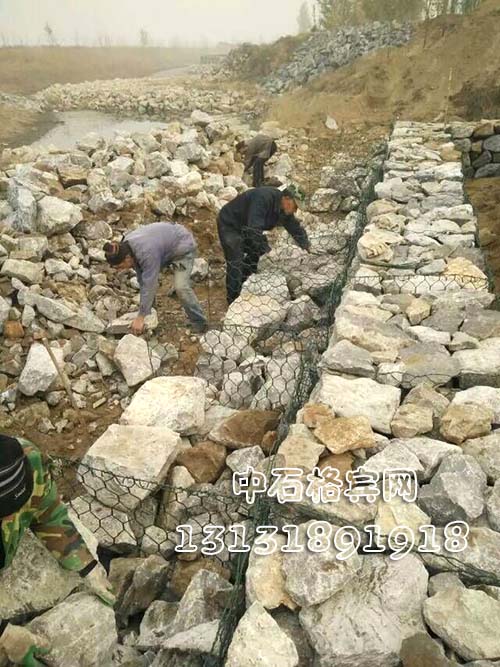 護腳賓格網13131891918